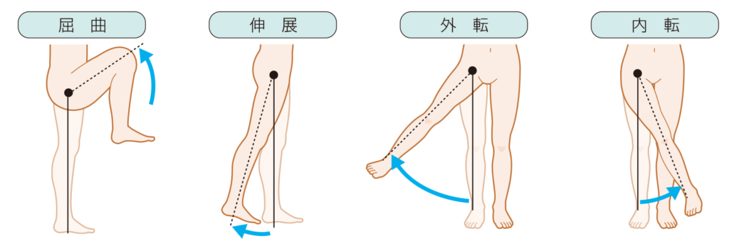 病院で変形性股関節症と診断され手術を勧められた女性の方はこの先のお話で痛み改善の何かヒントになれば幸いです アスリートヴィレッジ